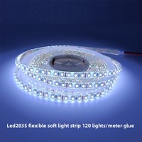 Bande lumineuse LED flexible basse tension 2835 étanche 120 LED 12/24V ABS IP65 Éclairage intérieur/extérieur CRI 90 Dimmable 50000h