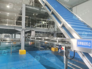 Gıda işleme, meyve yıkama ve sıralama hattı için paslanmaz çelik meyve kemeri asansör konveyörü - Product Image 3