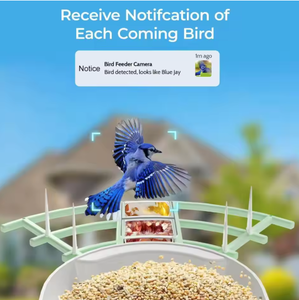 Caméra pour mangeoire pour animaux de compagnie, caméra intelligente pour <span class=keywords><strong>oiseaux</strong></span> WiFi 2MP, 1080P, écologique, portable, étanche pour petits animaux - Product Image 2