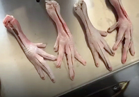 Machine de découpe de pieds de poulet en acier inoxydable, Machine d'ouverture de coupe de griffe de poulet, Machine à désosser