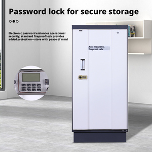 Armoire antimagnétique pour l'archivage des informations, stockage de <span class=keywords><strong>disques</strong></span> durs, armoire anti-humidité, armoire ignifuge, armoire antistatique - Product Image 4