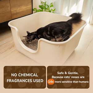 Arena para Gatos Profesional de Fibra de Coco, Gránulos de Arena para Gatos Sostenibles con Rendimiento Estable para el Mercado de Mascotas - Product Image 2