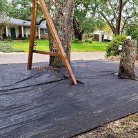 Toile de paillage agricole en PP non tissé stabilisée aux UV pour le contrôle des adventices et la couverture du sol