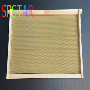 Bán Chạy nhất sản phẩm nuôi ong: tổ ong, phấn hoa ong, nền tảng sáp Hội Đồng Quản Trị - Product Image 2