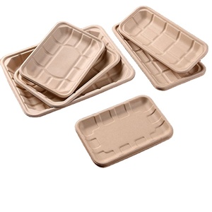 Bandejas Biodegradables <span class=keywords><strong>BIOPACK</strong></span> Tray48 de Bagazo de Caña de Azúcar para Alimentos, Carne, Verduras, Frutas, Uso en Fiestas, con Tamaño y Logotipo Personalizados - Product Image 4