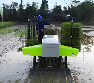 Машина для посадки риса с автоматическим управлением 2ZPY-13D сельскохозяйственные ряды для пересадки риса опционально - Product Image 4