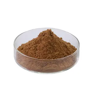 कार्बनिक प्राकृतिक Inonotus Obliquus निकालने पाउडर 10:1 Chaga मशरूम निकालने पाउडर