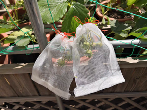 ถุงตาข่ายป้องกันองุ่นผักผลไม้30*20ซม. ถุงป้องกันผลไม้ถุงตาข่ายองุ่น - Product Image 6