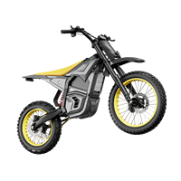 Moto tout-terrain électrique US Stock IN10 2600W à moteur central sans balais, 40 MPH, 146 Nm de couple, 48V 23AH, freins hydrauliques, IPX6