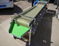 6 grades de tri machine de tri de fruits kiwi cerise olive trieuse niveleuse machine