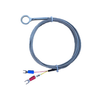 Vente directe usine Hong Kong Baoguang K-Type 14mm Capteur de température isolé diélectrique haute température - Product Image 4