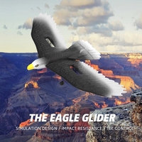 Nouvel avion planeur à aile fixe en mousse Fpp, avion télécommandé 2,4G, modèle d'avion RC Black Eagle, jouets volants avec lumières