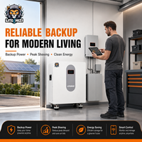 Système d'énergie solaire pour le stockage d'énergie domestique, batterie LiFePO4 51,2 V 200 Ah sur pied, système solaire hybride hors réseau, centrale électrique