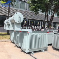 Transformateur de puissance triphasé TSTY écologique 50Hz et 60Hz 250Kva 500Kva 1250KVA