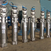 Pompe centrifuge submersible en acier inoxydable de 4 pouces haute pression pour l'irrigation agricole et les puits profonds avec moteur triphasé