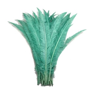 Plumas de Avestruz <span class=keywords><strong>Nando</strong></span> Recortadas de 50-55 cm (18-20 Pulgadas) a Precio de Fábrica, Buena Calidad, para Decoraciones de Carnaval, Accesorios de Disfraces - Product Image 2