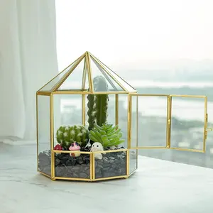 Terrarium 3d — décoration de jardin féerique Miniature, écran de forme ronde, Terrarium géométrique succulente, en verre doré avec porte