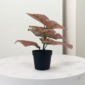 Pianta Artificiale in Plastica con Foglie Verdi da 25cm, Resistente all'Acqua e ai Raggi UV, Ecologica per Decorazione Casa e Vita <span class=keywords><strong>Verde</strong></span> - Product Image 5