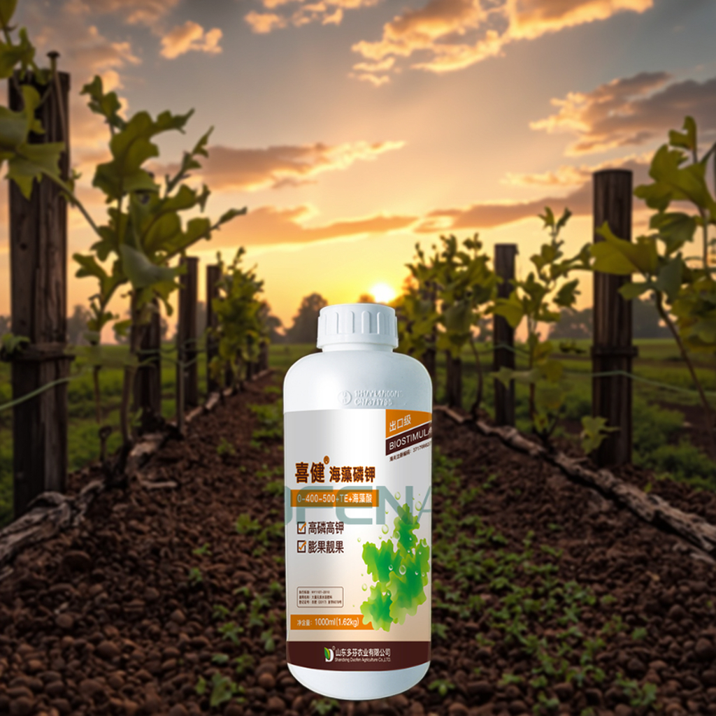 Wholesale Seaweed PK 0-350-450 Liquid Fertilizer