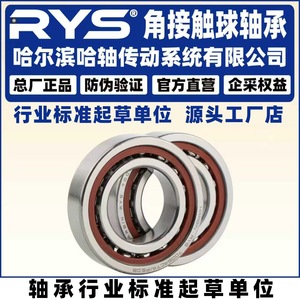 ตลับลูกปืนเม็ดกลมสัมผัสเชิงมุม RYS P5 แบบสองแถว สำหรับโรงงานผลิต - Product Image 4