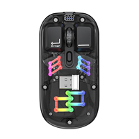 Souris de jeu sans fil rechargeable double mode portable BT 2,4 GHz USB, design transparent, main droite, pour ordinateur portable, tablette, PC, ordinateur portable