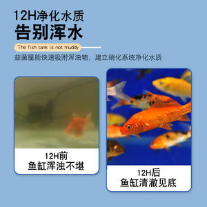 Aquarium Fish <b>Pond</b> Water Purifier Bottom <b>Filter</b> <b>Media</b> Nitrifying Bacteria House Ceramic Rings Quartz Ball Ceramic <b>Filters</b> - Product Image 3