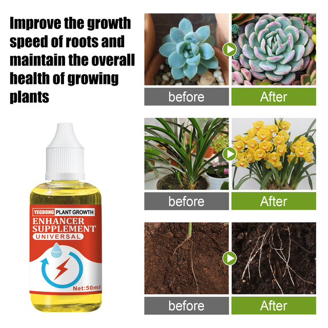New Hot Plant Growth Enhancer Supplement Growing Agent Fast Rooting Flowering Plant Auxin Nutrient Solution the Strong Root