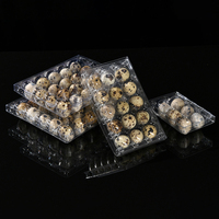 Plateau d'oeufs de caille en matériau PET Offre Spéciale haute transparence 12(3*4) pièces pour l'entreposage et les fournitures de supermarché