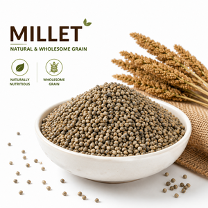 Top Tier Quality Organic <b>Millet</b> Grains CNTH Brand 100% Natural Non-GMO Fresh Harvest Bulk Supply 25kg/50kg for Exporters - Product Image 1