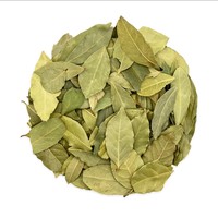 Daun Salam Turki Pilihan Kelas Satu 4-7cm Daun Laurel Kering 500kg AD Bumbu Herbal Alami Mentah Bersertifikat ISO/HACCP Terbaru