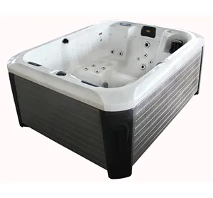 Top Verkoop Acryl Outdoor Spa Hot Tub Tv Bluetooth Systeem