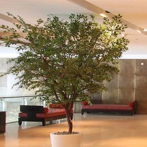 Trang Trí Trong Nhà Theo Yêu Cầu Giá Nhà Máy Cây Nhân Tạo Cảnh Quan Trong Chậu Bằng Nhựa Màu Xanh Lá Cây Chống Phai Màu - Product Image 5