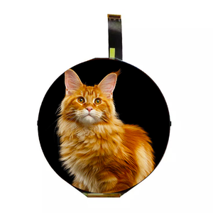 Tùy chỉnh <span class=keywords><strong>5</strong></span> <span class=keywords><strong>inch</strong></span> Vòng 1080*1080 mipi IPS Đồng hồ tốc độ <span class=keywords><strong>LCD</strong></span> Màn hình hiển thị màn hình cho xe máy - Product Image 1