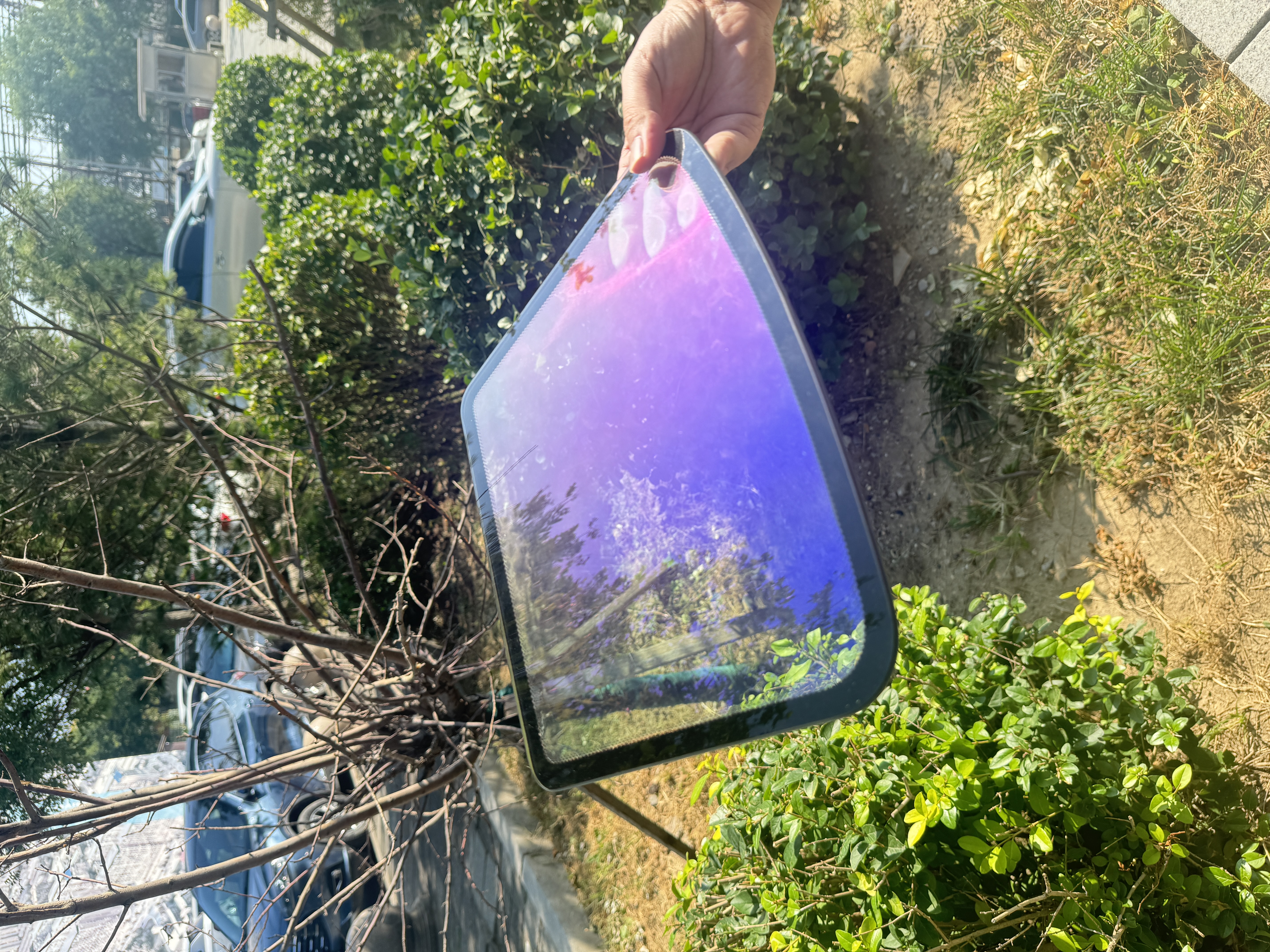 Pourpre impérial (double argent)