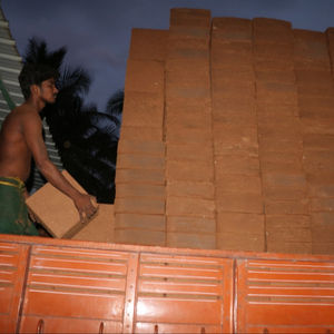 Cocopeat natural indio, producto agrícola orgánico - Product Image 2