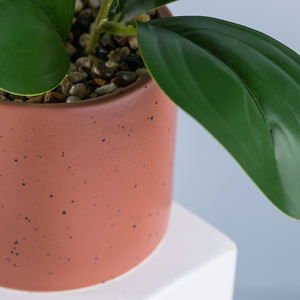 ต้นไม้ประดิษฐ์หยวนหวัง ต้นไทร ต้นเปเปอรอมีอา พร้อมกระถางเซรามิก สำหรับตกแต่งบ้าน สวนในร่มและกลางแจ้ง - Product Image 6