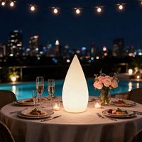 Lampe de table LED en forme de larme, lumière décorative en plastique, télécommande, alimentation AC, pour chambre à coucher, hôtel, bar, restaurant