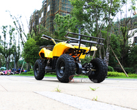 Quad électrique adulte modèle neuf 48v avec cadre en alliage d'aluminium, quatre grandes roues, véhicule électrique économique pour enfants