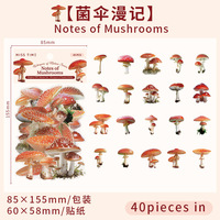 40 autocollants par paquet Série Whispers of Nature Vintage Floral DIY Journaling Stickers décoratifs