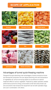 ตู้แช่แข็งแบบท่อ iqf ตู้แช่แข็งแบบไหลแยกช่องสำหรับร้านอาหารตู้แช่แข็งแบบทันที - Product Image 5