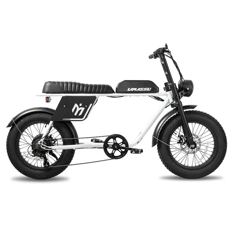 JOYKIE, новый дизайн, ebike, 20-дюймовый велосипед с толстыми шинами, 750 Вт, 7-скоростной Электрический велосипед