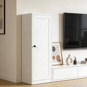 ארון תצוגה רב תכליתי מפלדה, בסגנון מינימליסטי מודרני, ארון אחסון לסלון ולחדר עבודה - Product Image 5