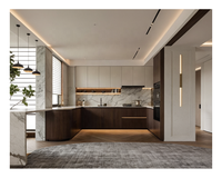 Meuble de cuisine intelligent et moderne de luxe avec panneau mural en verre et porte élévatrice pour appartement