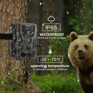 กล้องซันเทค 24MP ถ่ายภาพ 1080P วิดีโอไทม์แลปส์ กล้องดักถ่ายภาพ กล้องสอดแนม กล้องมองกลางคืน กล้องล่าสัตว์ รุ่น HC-801A - Product Image 4