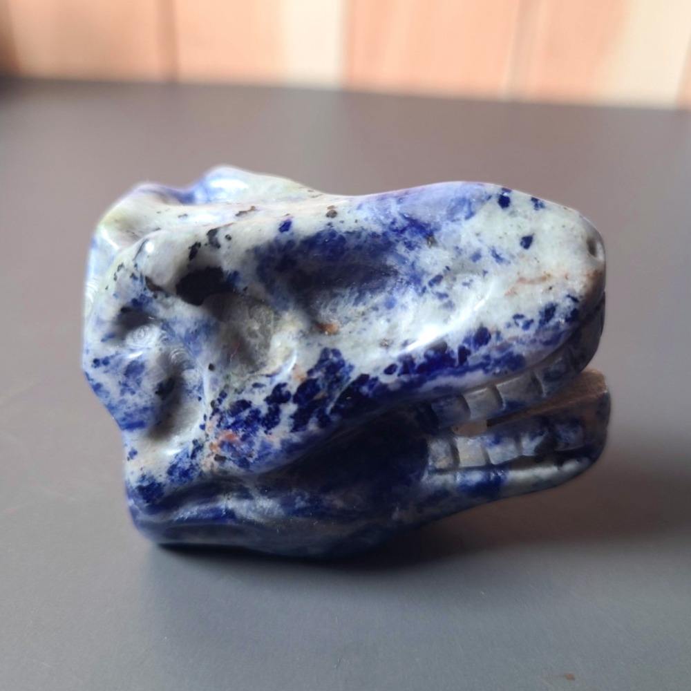 Blue-veined stone dinosaur skulls