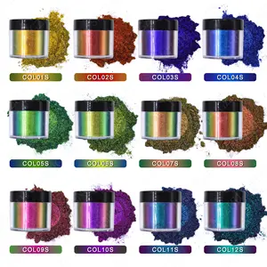 Grossista 12 colori olografici Chameleon Mica polvere per resina epossidica Chameleon polvere pigmento