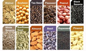 10-12T/D somun yağ baskı makinesi çekirdeği ekstraksiyon üretim palmiye yağı soğuk baskı hattı - Product Image 5