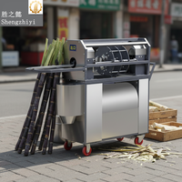 Chinese elektrische suikerriet schilmachine voor commercieel gebruik, geschikt voor Latijns-Amerika