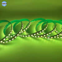 Bande lumineuse LED RGB flexible à haute efficacité SMD5050 Multicolore 5V 12V 24V Étanche Décoration Bande lumineuse LED RGB intelligente 5050