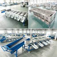 Ui Citrus Fruit Abrikoos Aardappel Fruit Avocado Dadel Formaat Sorteren Sorteermachine en verpakking van fruit